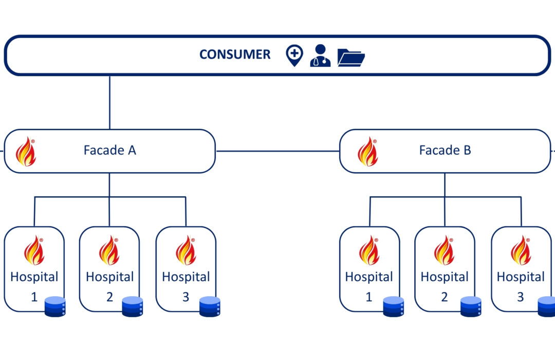 Data capabilities : de fundamenten leggen voor de eGezondheid van morgen